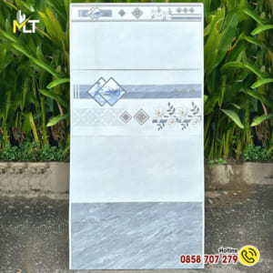 Gạch ốp tường 30×60 D3103