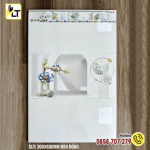 Gạch ốp tường 30×60 D3110