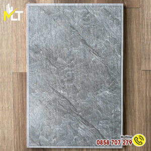 Gạch 40x60 Lát Sân Vườn 64101