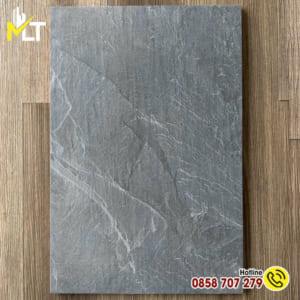 Gạch 40x60 Lát Sân Vườn 64104