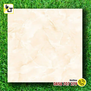 Gạch 40x40 HKTL4404
