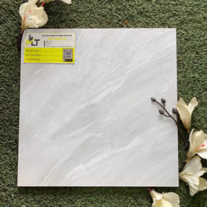Gạch 30x30 WG 313