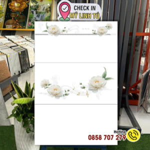 Gạch ốp tường 30×60 36800-D2-V2