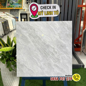 Gạch 60x60 MLT 6205