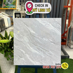 Gạch 60x60 MLT 6206