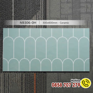 Gạch ốp tường giả lông vũ 30x60cm men bóng mã N9306-0H