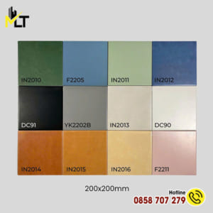 Gạch thẻ 20x20 F2205
