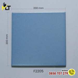 Gạch thẻ 20x20