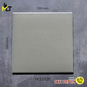Gạch thẻ 20x20 YK2202B