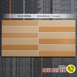 Gạch 30x60 giả thẻ N12X09A