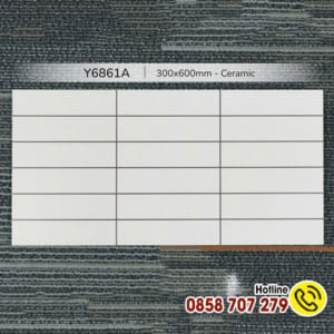 Gạch 30x60 giả thẻ Y6861A