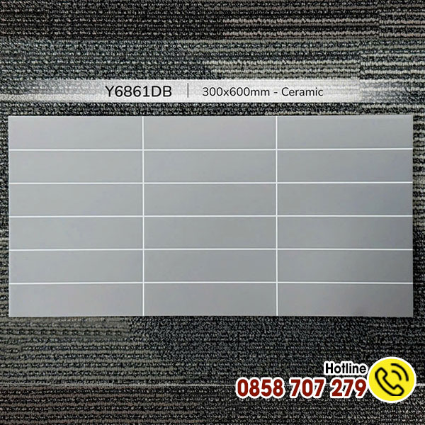 Y6861DB Gạch 30x60 giả thẻ Y6861DB