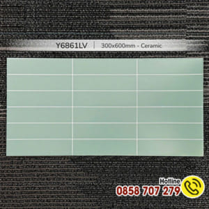 Gạch 30x60 giả thẻ Y6861LV