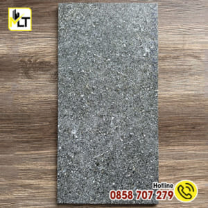 Gạch sân vườn 30x60 36304