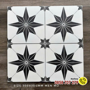 Gạch bông 30x30 TK123201 (Men Mờ)