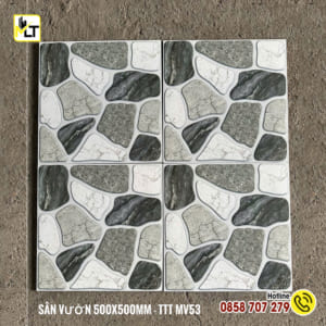 Gạch 50x50 MV53