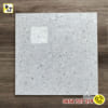 Gạch 60x60 MLT R6155
