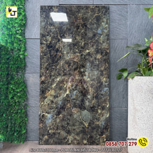 Gạch bóng kiếng 60x120 VL60127