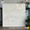 Gạch lát nền 1200x1200 mm TTT G1212024