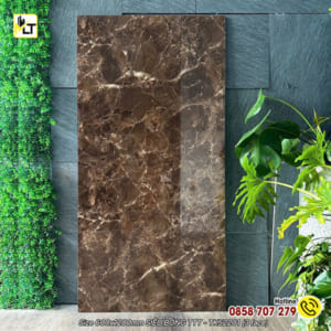 Gạch bóng kiếng 60x120 TK52201 nâu vũ trụ 3 faces