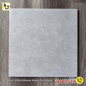 Gạch 40x40 mờ TTT TK 4301