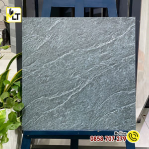 Gạch 50x50 5502 (Porcelain-Matt)