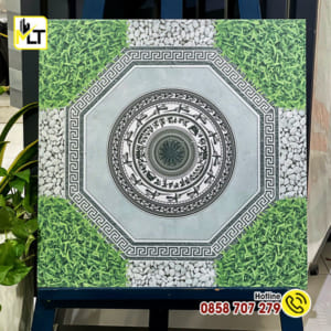 Gạch 50x50 5505 (Porcelain-Matt)