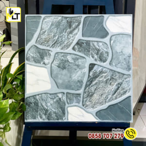 Gạch 50x50 5508 (Porcelain-Matt)