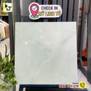 Gạch 60x60 MLTTK6005N