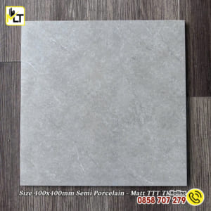 Gạch 40x40 mờ TTT TK 4306