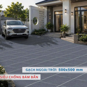 Gạch 50x50 5502 (Porcelain-Matt)
