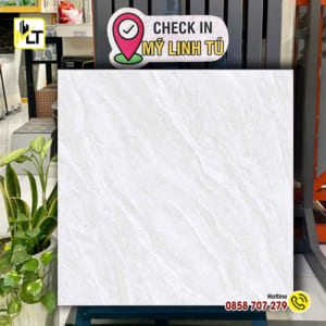 Gạch 60x60 MLT 6401N (men bóng)