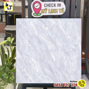 Gạch 60x60 MLT 6404N