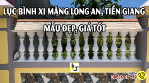 Lục Bình Xi Măng Long An, Tiền Giang | Mẫu Đẹp, Giá Tốt