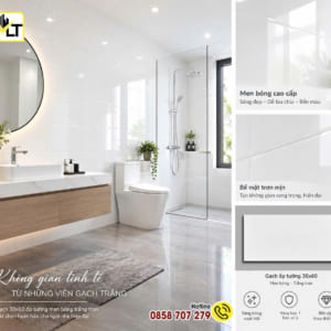 Gạch ốp tường 30×60 trắng trơn