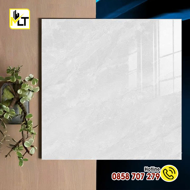 6606 Gạch 60x60 66006 (Đá bóng kiếng)