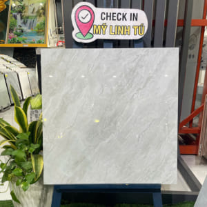 Gạch 60x60 BC6605N