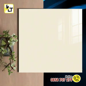 Gạch 60x60 66003