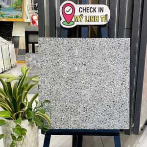 Gạch 60x60 BC6701N