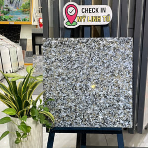 Gạch 60x60 BC6709N (Đá bóng kiếng)