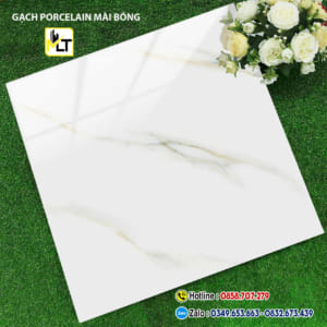 Gạch 60x60 TK6650