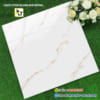 Gạch 60x60 TK6651 (Đá bóng kiếng)