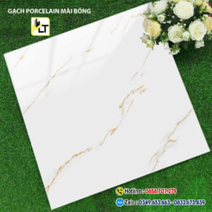 Gạch 60x60 TK6651 (Đá bóng kiếng)