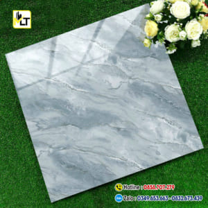 Gạch 60x60 TK6669