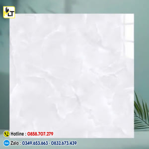 Gạch 60x60 TK6671N (Đá bóng kiếng)