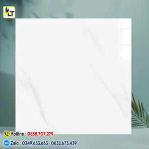 Gạch 60x60 TK6673N (Đá bóng kiếng)