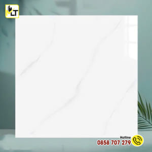 Gạch 60x60 TK6674N (Đá bóng kiếng)