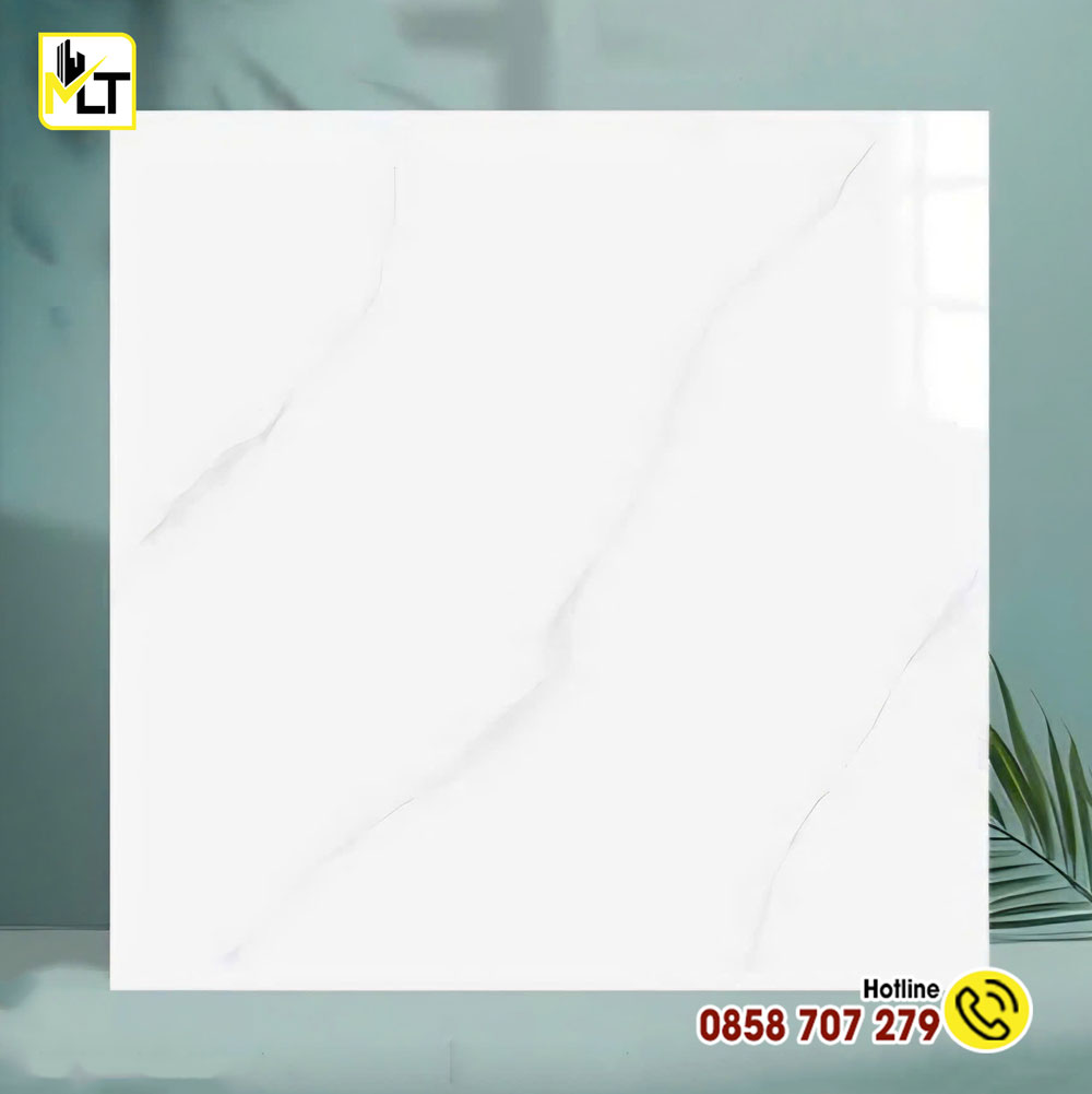 Gạch-60x60-TK6674N-(Đá-bóng-kiếng) Gạch 60x60 TK6674N (Đá bóng kiếng)