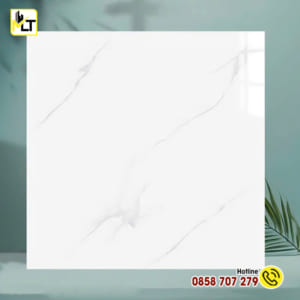 Gạch 60x60 TK6675N