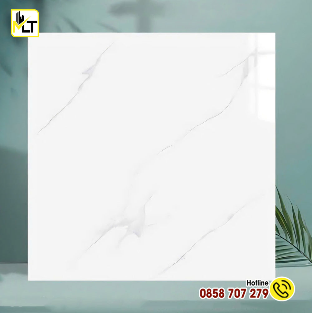 Gạch-60x60-TK6675N Gạch 60x60 TK6675N
